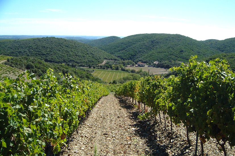 AOC Faugères