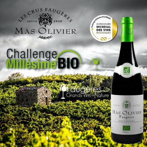 Médaille OR au Challenge Millésime BIO