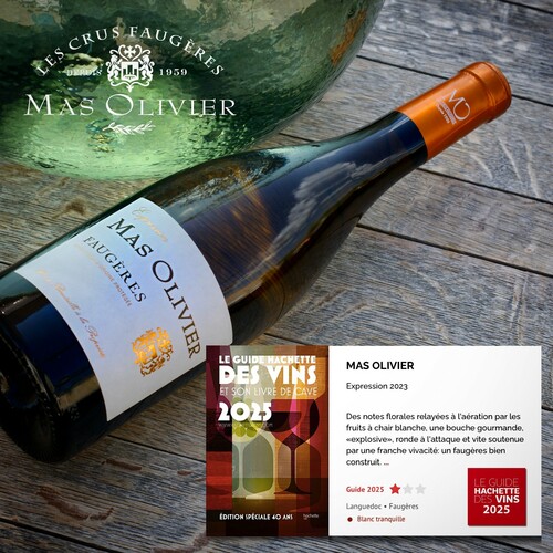 Trois cuvées récompensées au Guide Hachette des Vins 2025