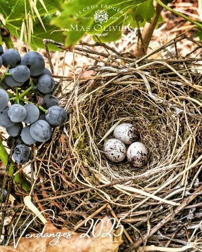 Rencontres inattendues