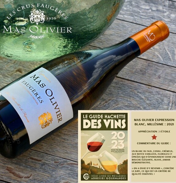 洋書 Le guide des meilleurs VINS de France 25 Amazon.com: Le Guide des meilleurs vins de France 2025