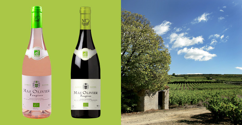 La gamme Mas Olivier Bio