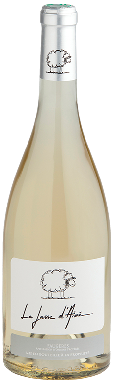 Jasse D'Aimé Blanc